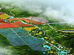 鄭州市工信局：積極構建管城區(qū)、經(jīng)開區(qū)、中牟縣“兩區(qū)一縣”氫燃料電池汽車