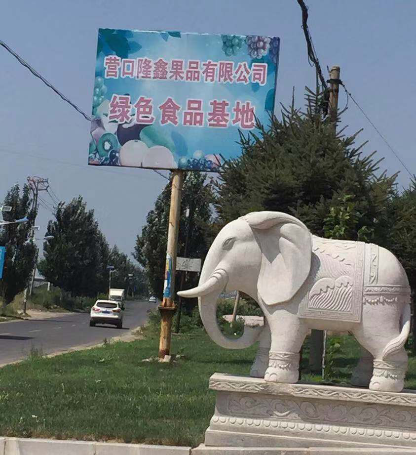 東北水果之鄉(xiāng)迎來發(fā)展新機遇，蓋州爭創(chuàng)省級現(xiàn)代農(nóng)業(yè)產(chǎn)業(yè)園