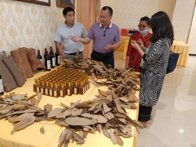 龔州大地，龍眼飄香-平南現(xiàn)代農(nóng)業(yè)正釋放科技創(chuàng)新活力