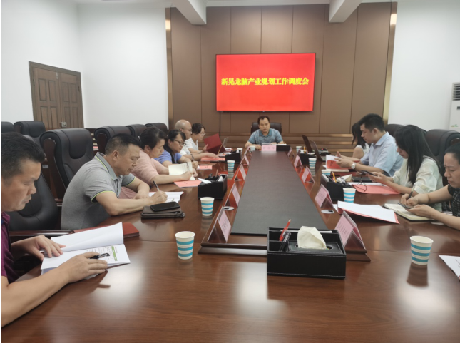 發(fā)力五型經(jīng)濟，著力打造“中國龍腦之都”