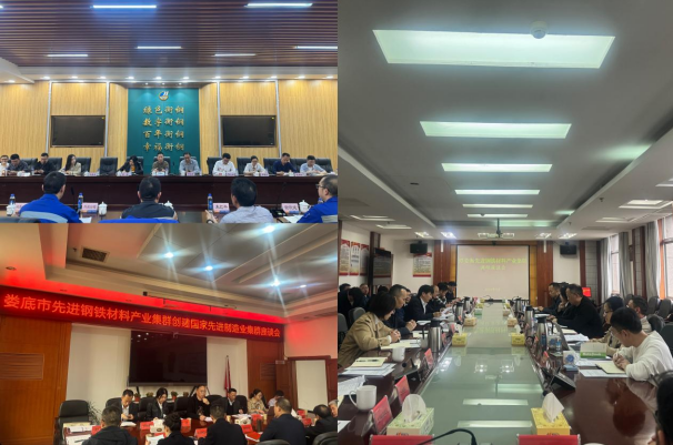 高新院走入湖南鋼鐵——以先進(jìn)制造業(yè)集群撬動“新質(zhì)生產(chǎn)力”支點(diǎn)