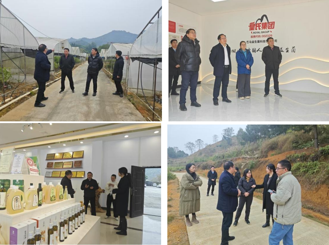 長壽之鄉(xiāng)，逐路之行——高新院專家組一行赴廣西巴馬瑤族自治縣開展河池農(nóng)高區(qū)創(chuàng)建調(diào)研